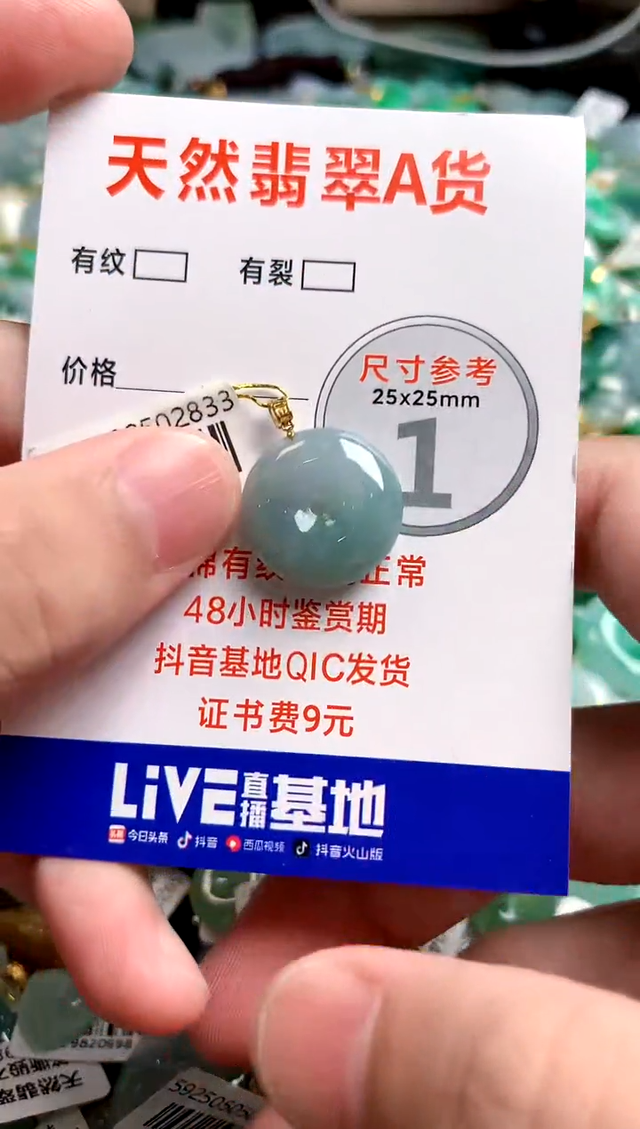 翡翠18K金镶嵌颈饰25100878