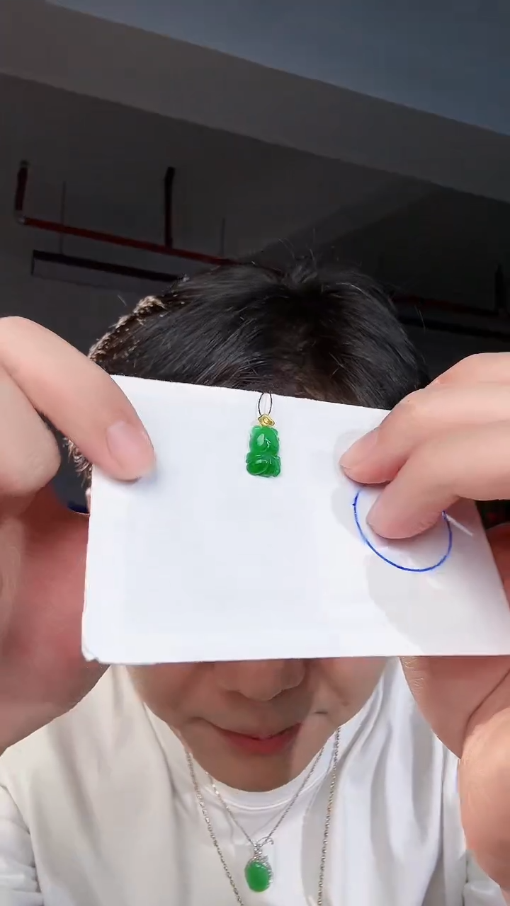 【闪购商品】翡翠颈饰18K金镶嵌缅料A货翡翠/支持复检/一件