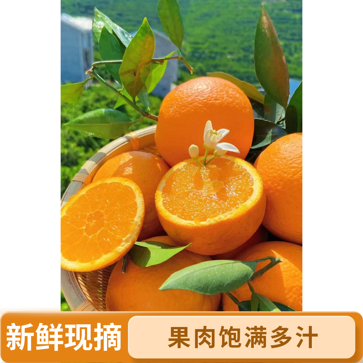 正宗江西赣南脐橙新鲜赣州香甜橙子孕妇水果整箱10斤顺丰产地直发