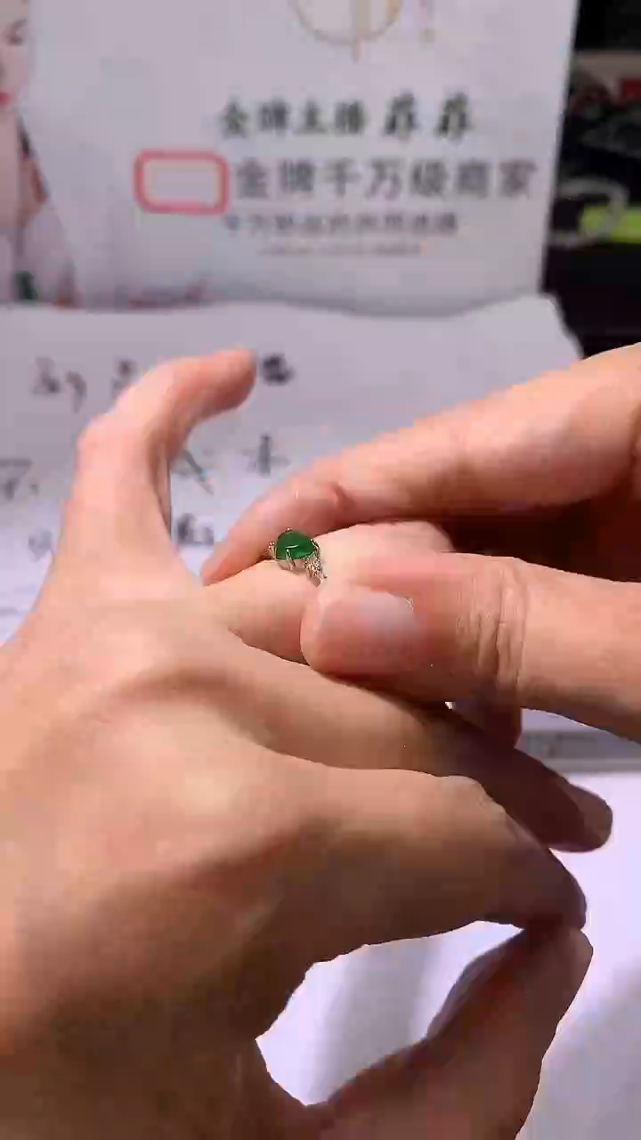 颈饰未镶嵌翡翠A28