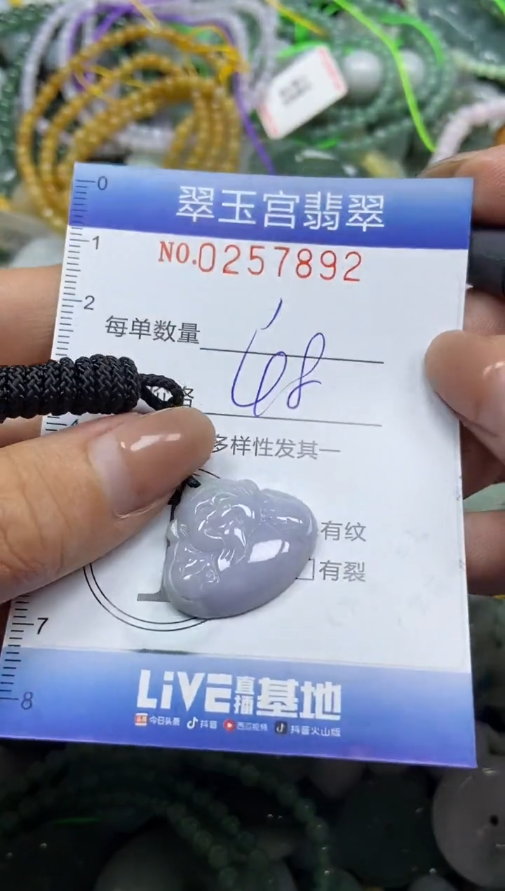 颈饰未镶嵌翡翠闪购C0257892