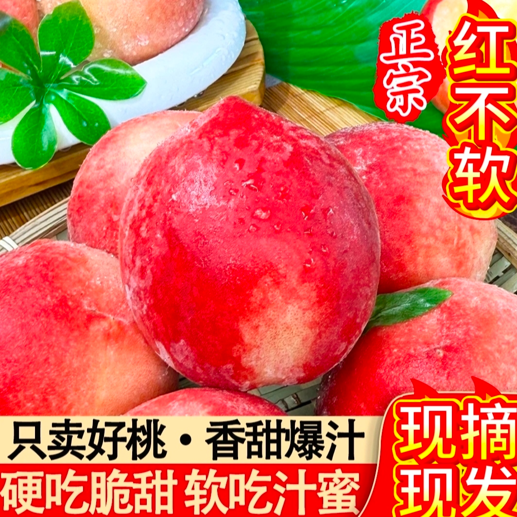 R【红不软水蜜桃】先摘现发甜产地直发应季水果树上自然熟坏果包赔山西省