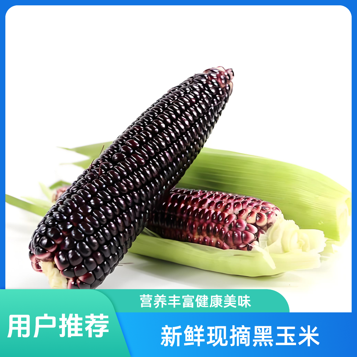 东北黑糯玉米带皮鲜果现摘农家自种顺丰包邮辽宁省