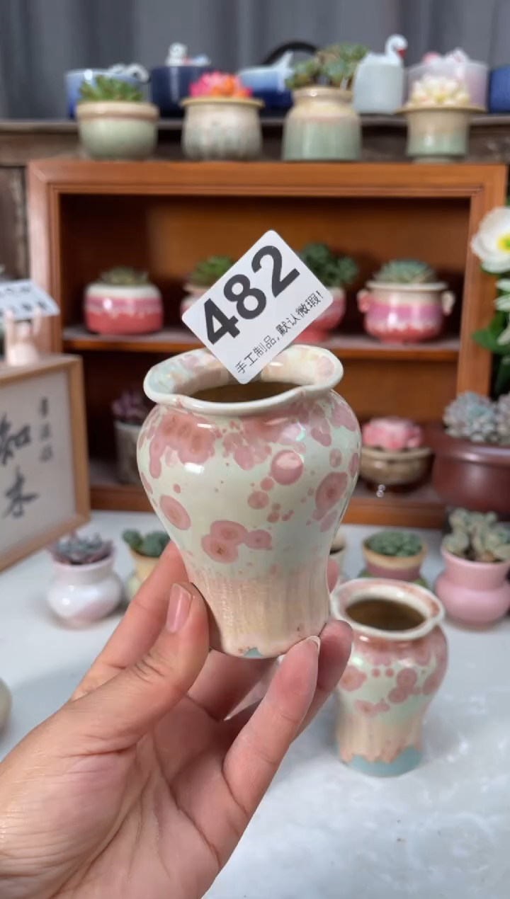 瓷片482小芳直播编号