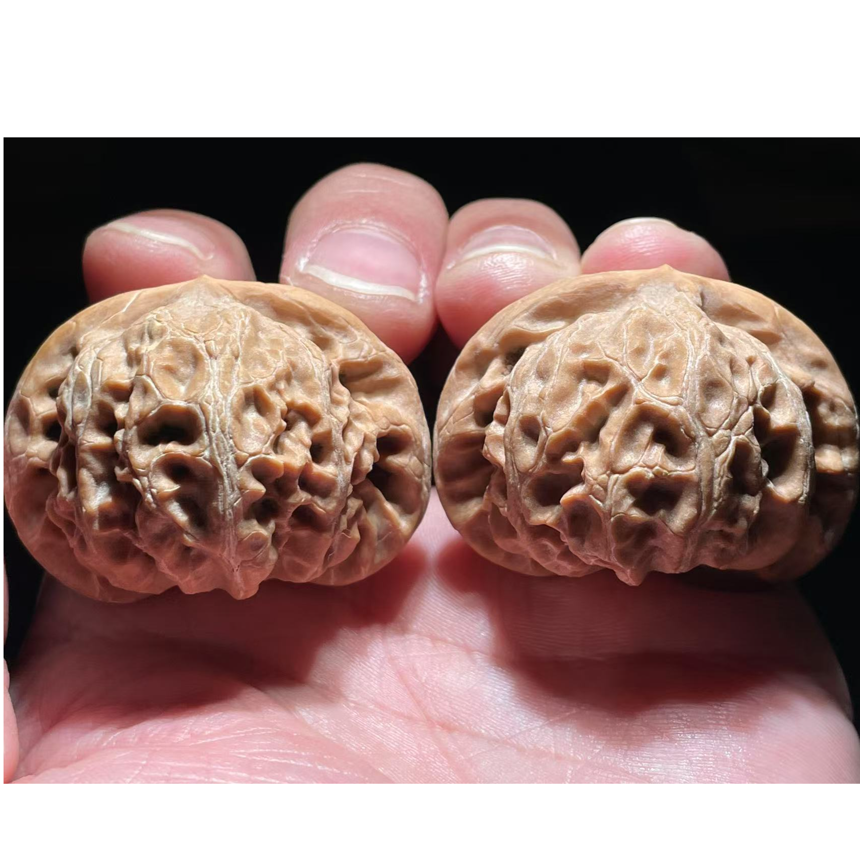 【新品玉玺宫灯狮子头】文玩核桃老树红皮宫灯狮子头蜡皮精品核桃