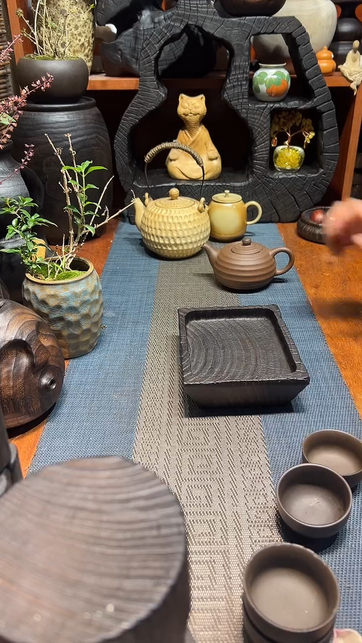 香樟木香樟木一物一拍