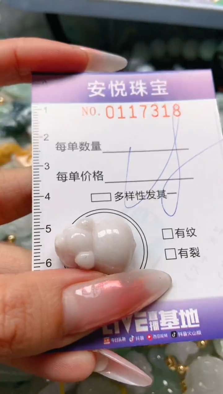 【闪购商品】翡翠颈饰未镶嵌闪购0117318