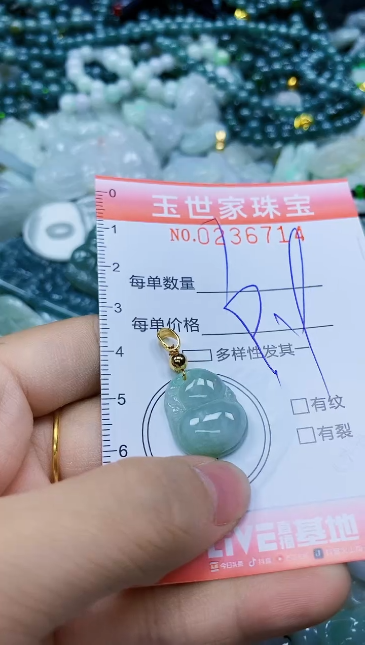 翡翠未镶嵌颈饰闪购0236714