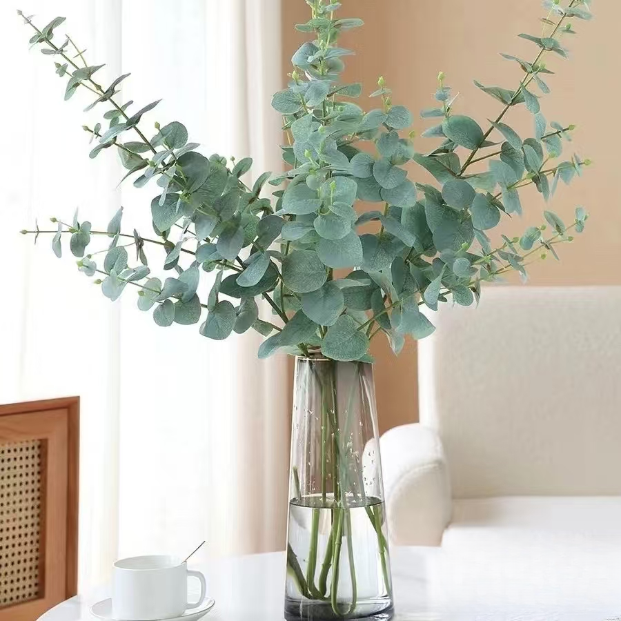 【凑单专属】尤加利叶6枝·一件不发货