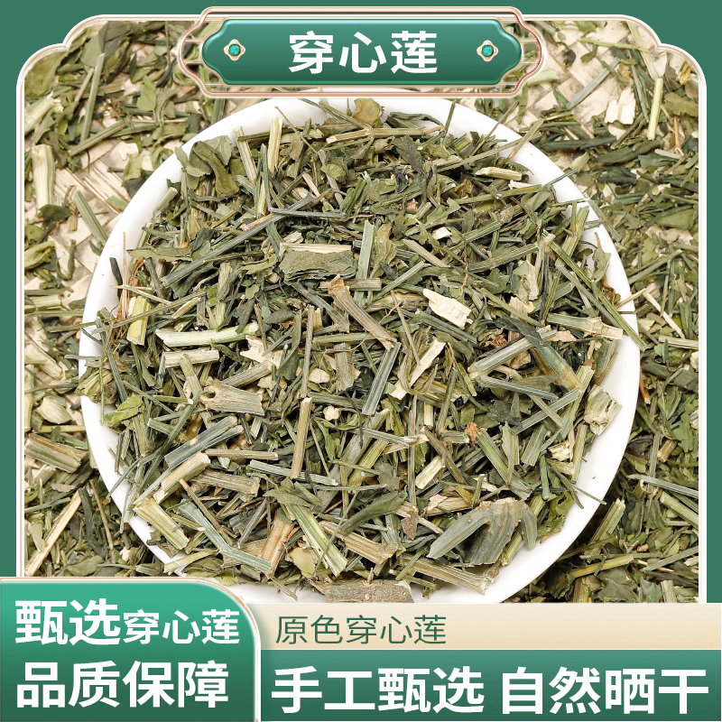 穿心莲云南产地直采自然晾晒拒绝添加叶片煮水泡茶皆可穿心莲
