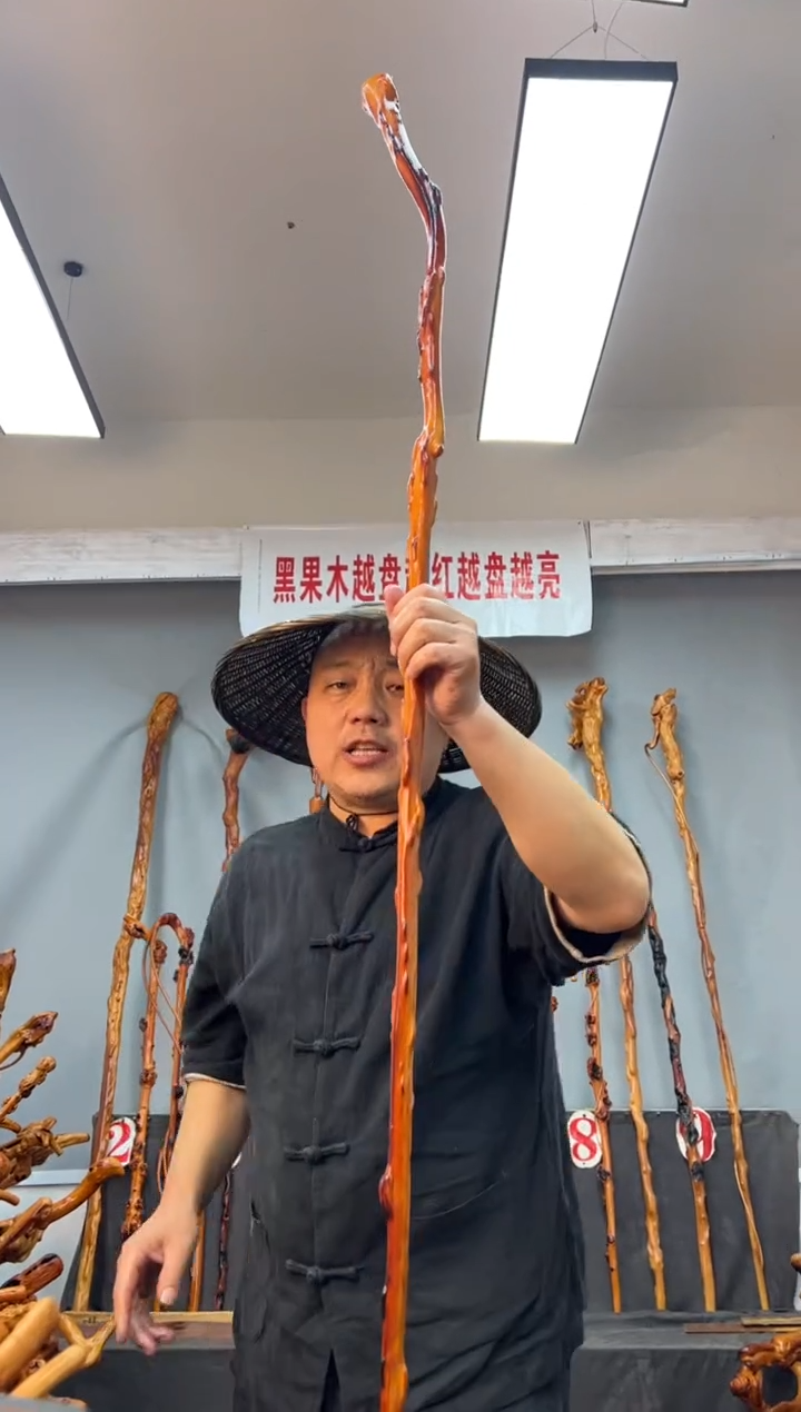 【闪购商品】黑果木其他黑果木126