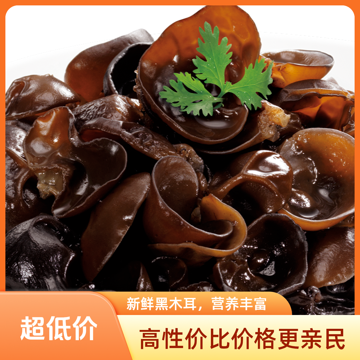 01东北新货秋木耳小木耳肉厚无根干货