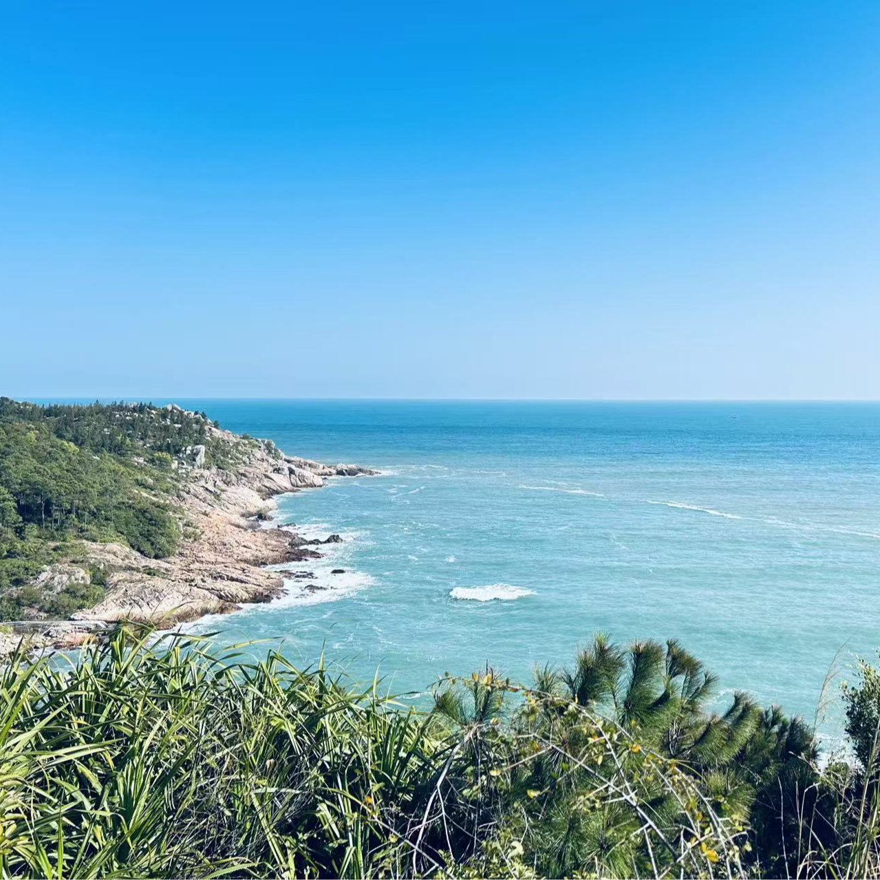 COCO DICV25新款高端定制时尚女包 1盒子