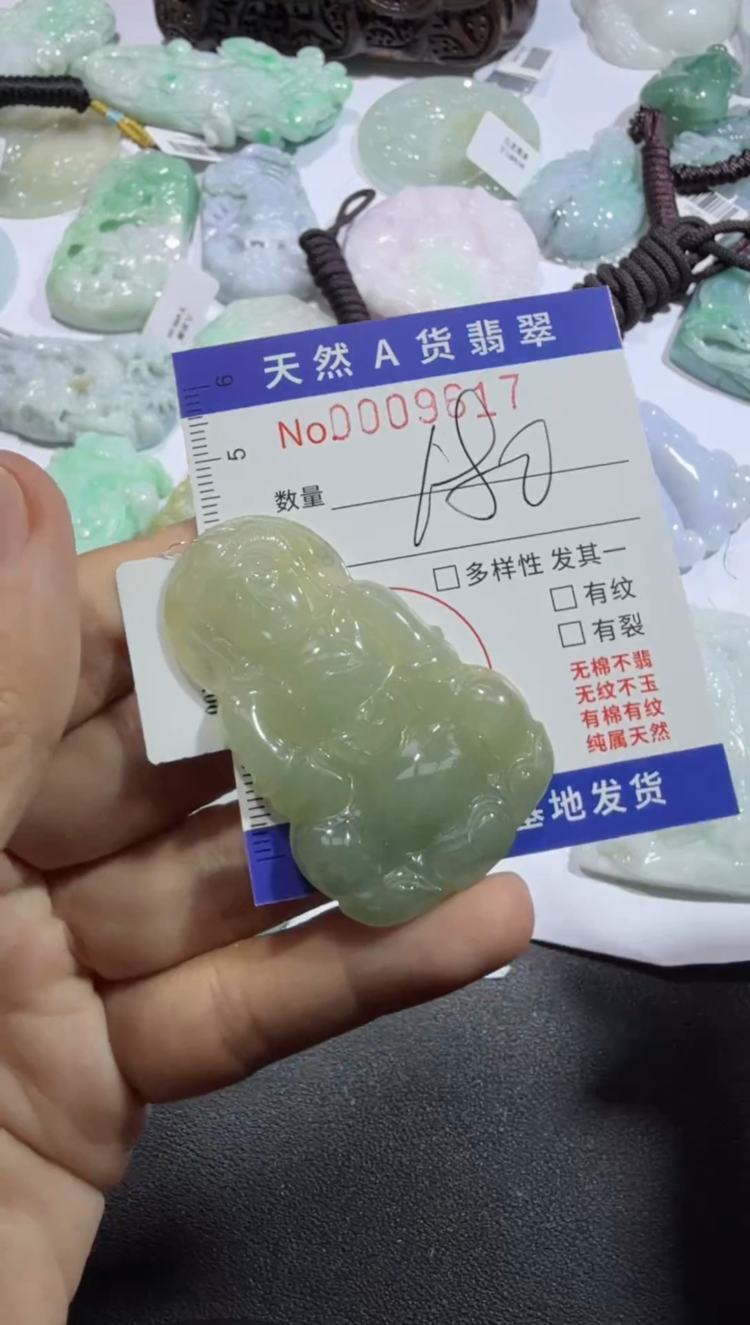 【闪购商品】翡翠颈饰未镶嵌00009617