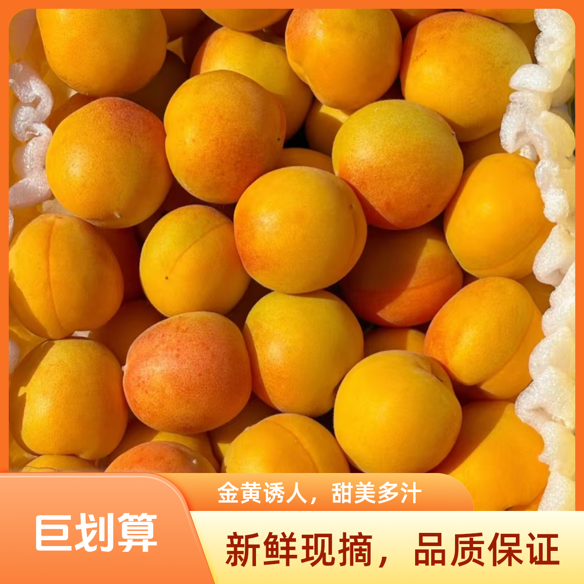 （明日到）头茬新疆吊干杏软糯甘甜原箱发货8斤装新鲜水果新疆维吾尔自治区