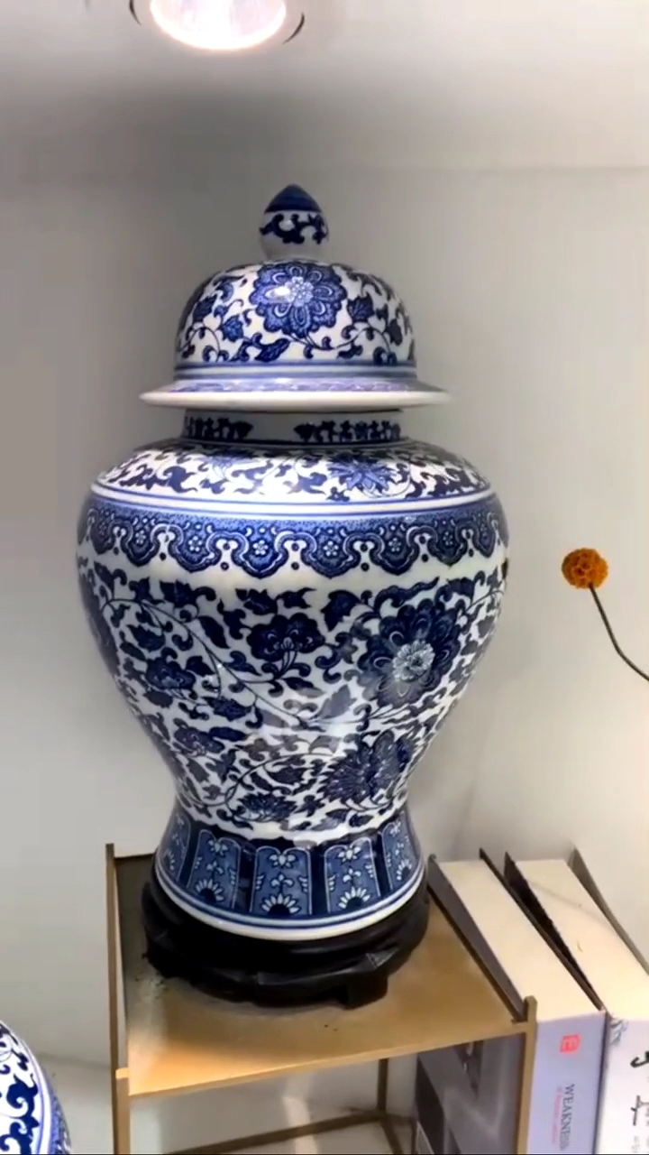 【闪购商品】景德镇陶瓷花瓶摆件1