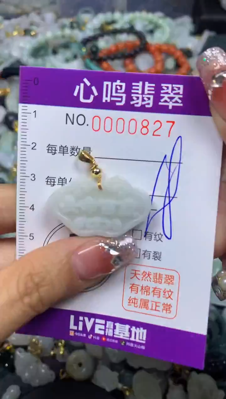 【闪购商品】翡翠颈饰未镶嵌闪购00827