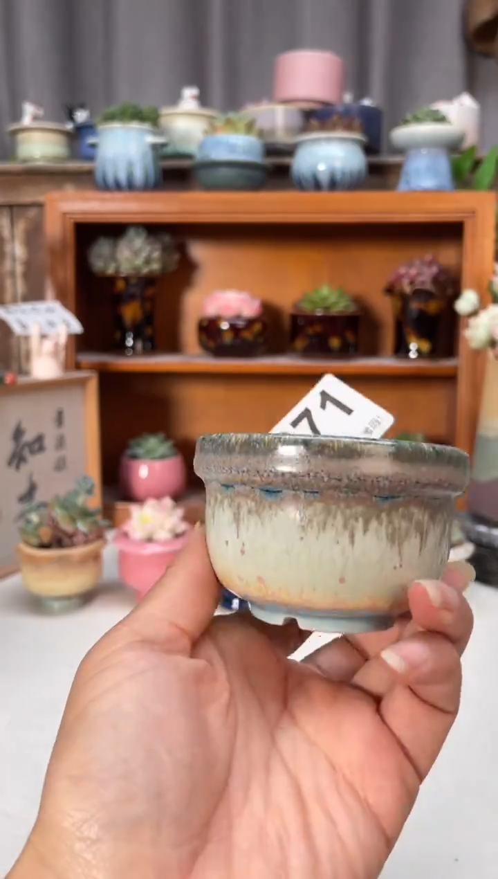 瓷片871小芳直播编号