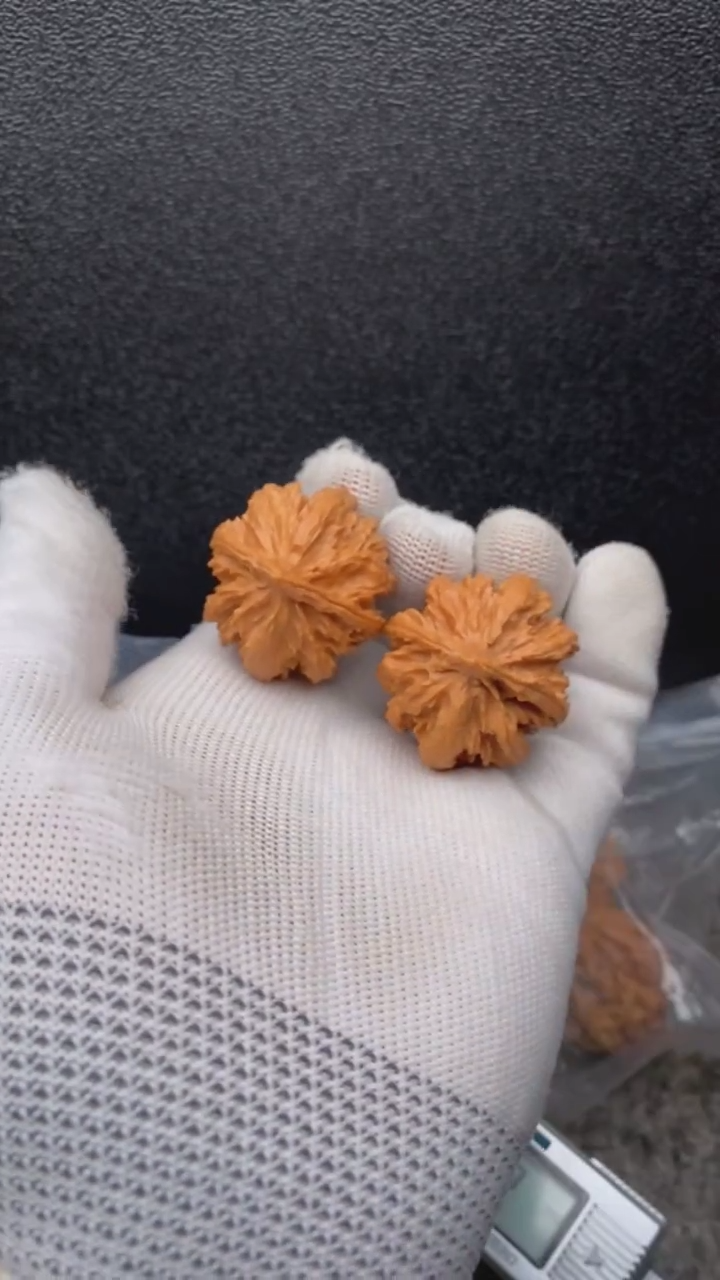 【闪购商品】文玩核桃把件暴龙