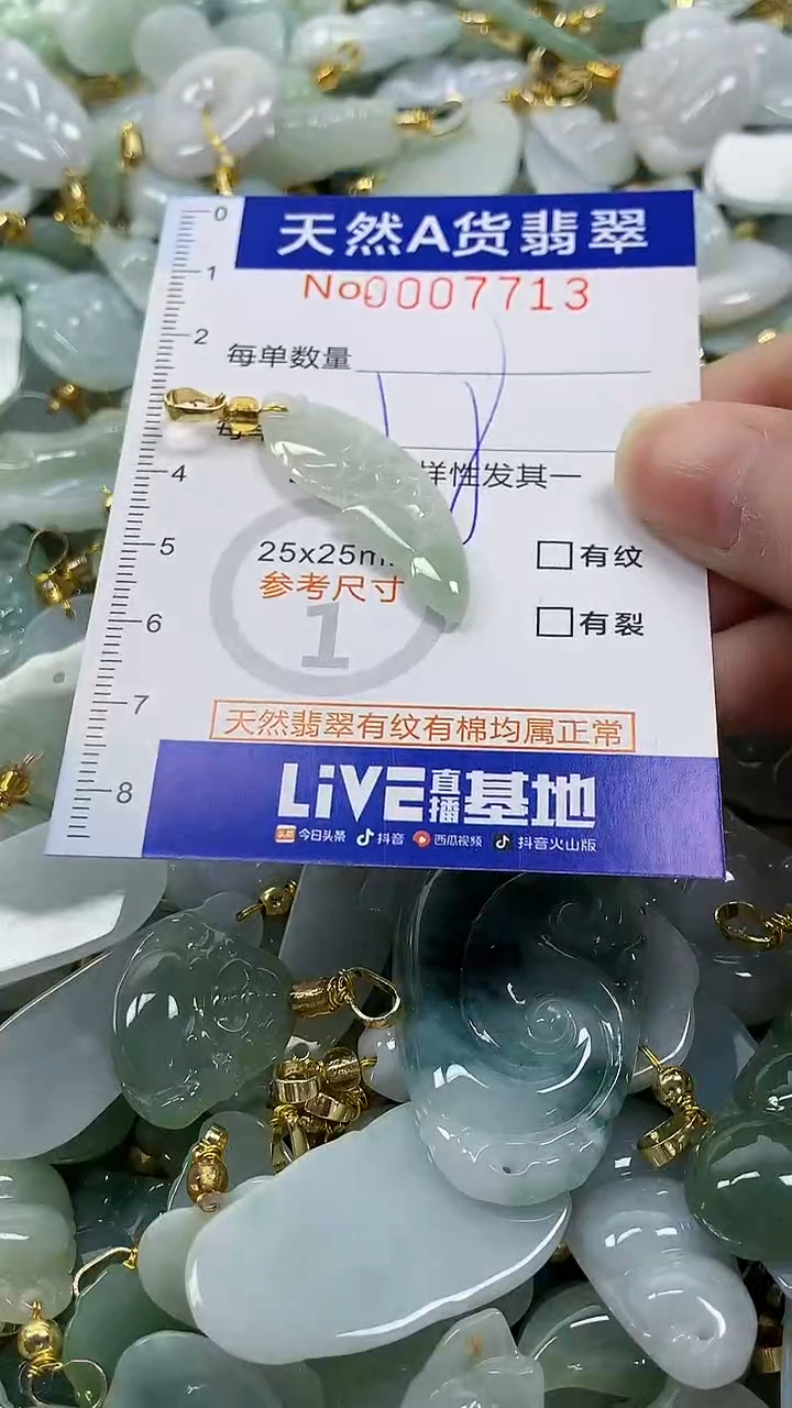 颈饰未镶嵌翡翠纯天然a货翡翠