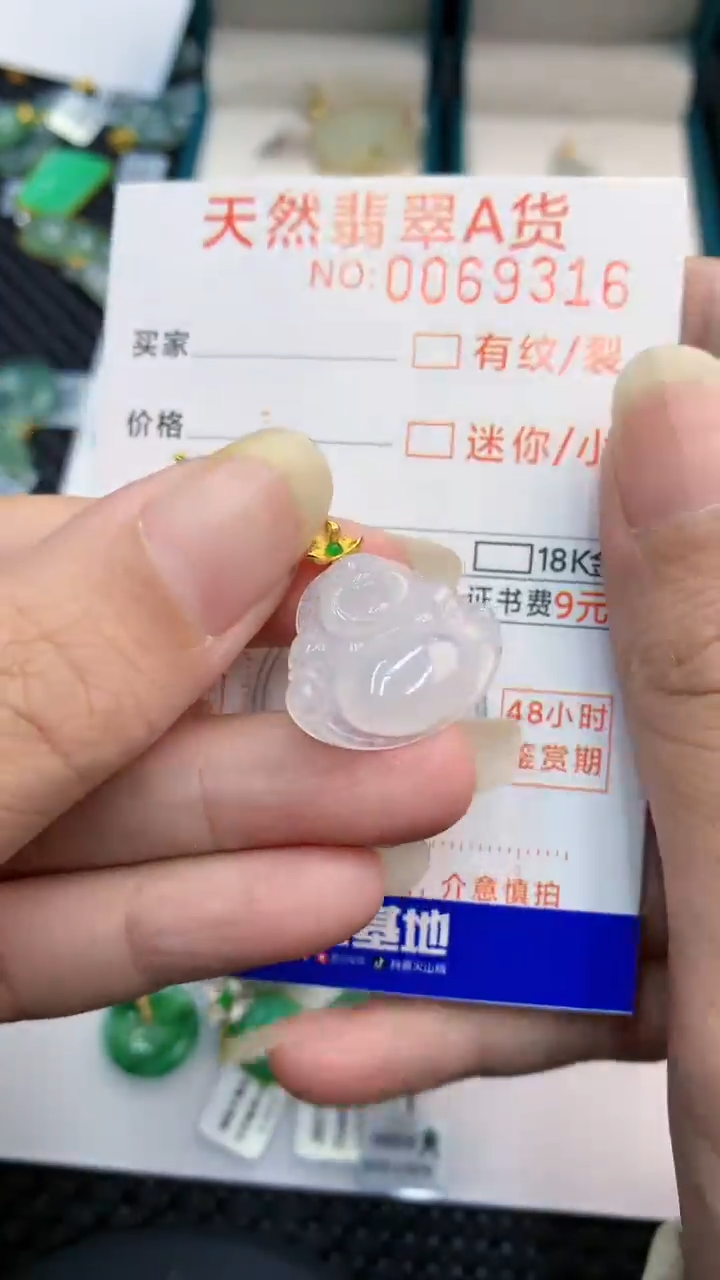 【闪购商品】翡翠颈饰18K金镶嵌            8