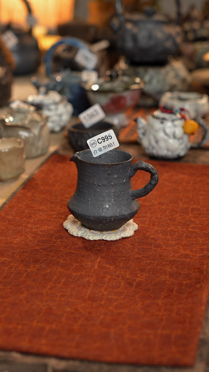 【闪购商品】壶精品好物推荐分享995