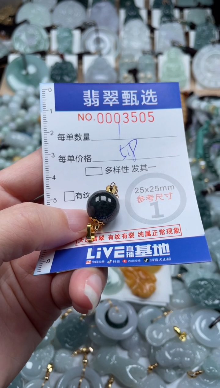 翡翠未镶嵌颈饰00..3505