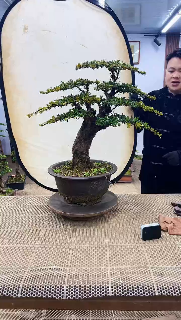 【闪购商品】0000000000