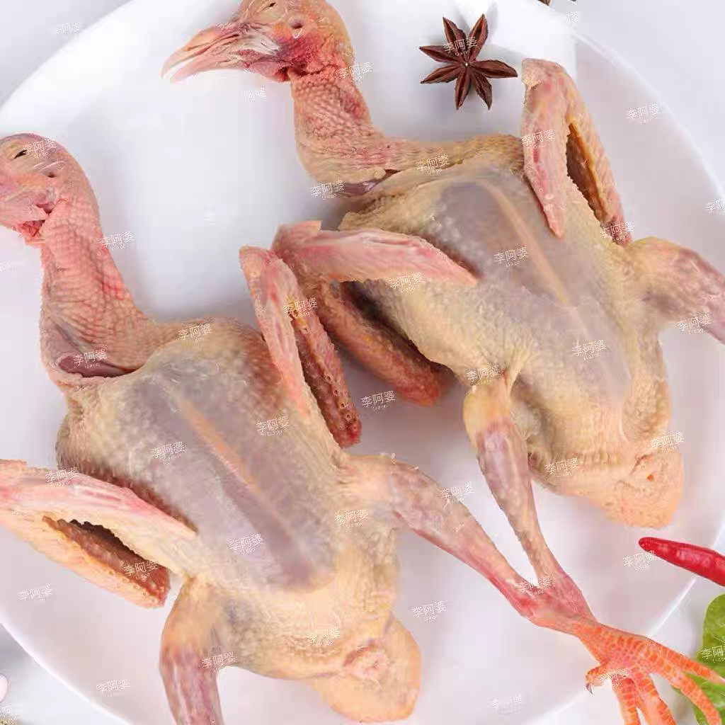 【昌吉毛姐清真优选】新鲜现宰农家散养2年老鸽子原粮土鸽