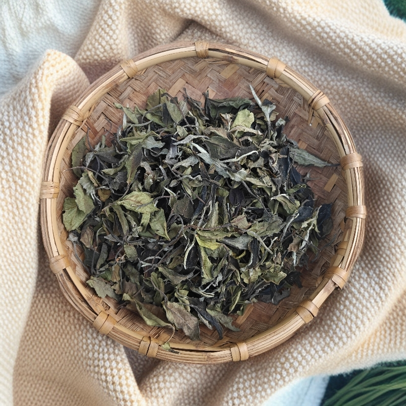 【晓街商会专属】2024年 白莺山.散白茶 头春古树白茶 云南白茶散茶