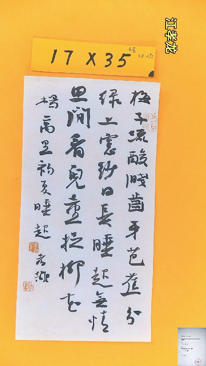 【闪购商品】书法江孝龙获奖同款字体梅子17*35