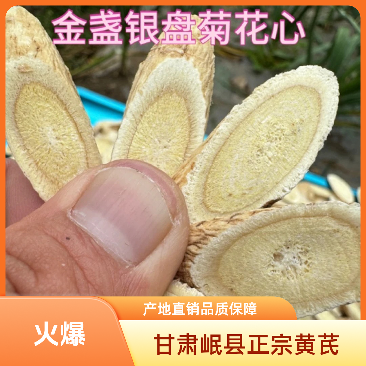 【甘肃岷县黄芪片】产地直销可泡茶煲汤正宗无硫新货