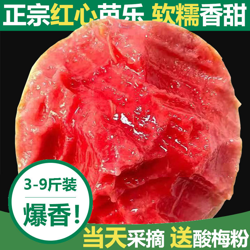 广西正宗白心红心软芭乐番石榴大果产地直发新鲜应季水果3斤5斤