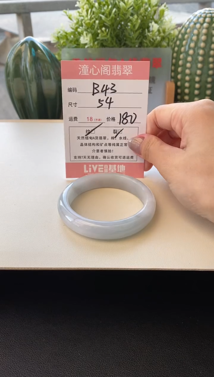 未镶嵌手镯翡翠圈口54编码B43
