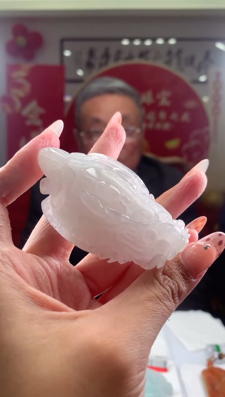 【闪购商品】定制翡翠未镶嵌挂件发货（拍一发一）