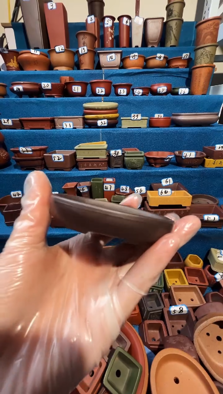 【闪购商品】紫砂紫砂花盆8*7*1