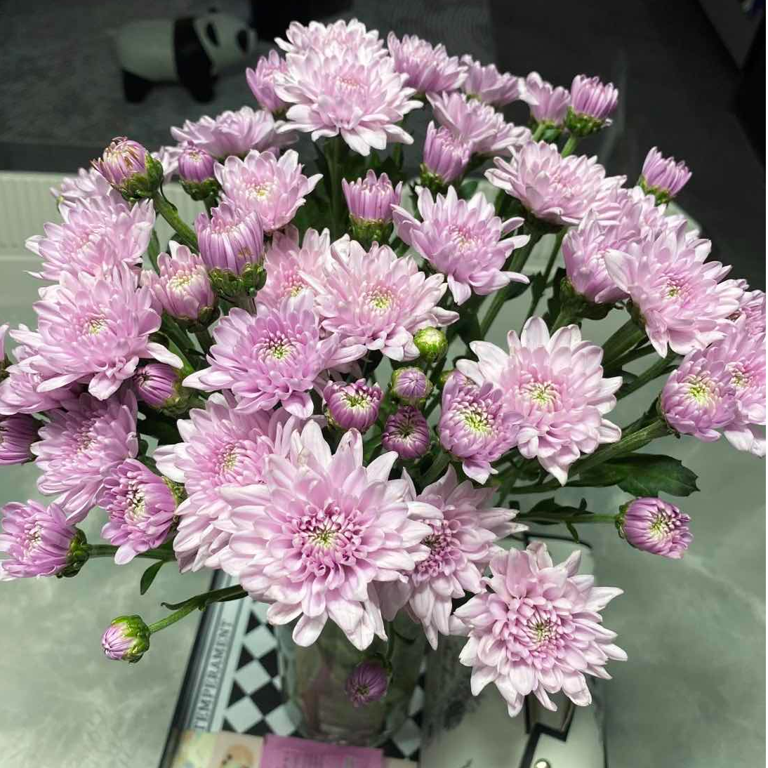 【小菊-蜜桃粉】顺丰包邮 山东基地直发 48H发货