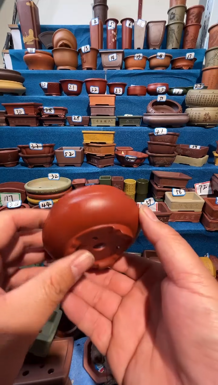 【闪购商品】紫砂紫砂花盆6.5*3.5