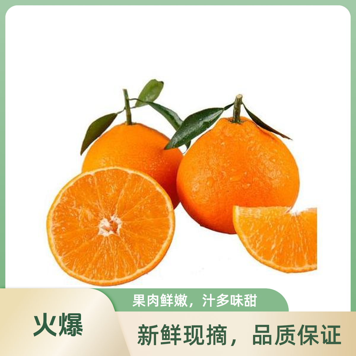 四川红美人橘  带箱8.5-9斤左右