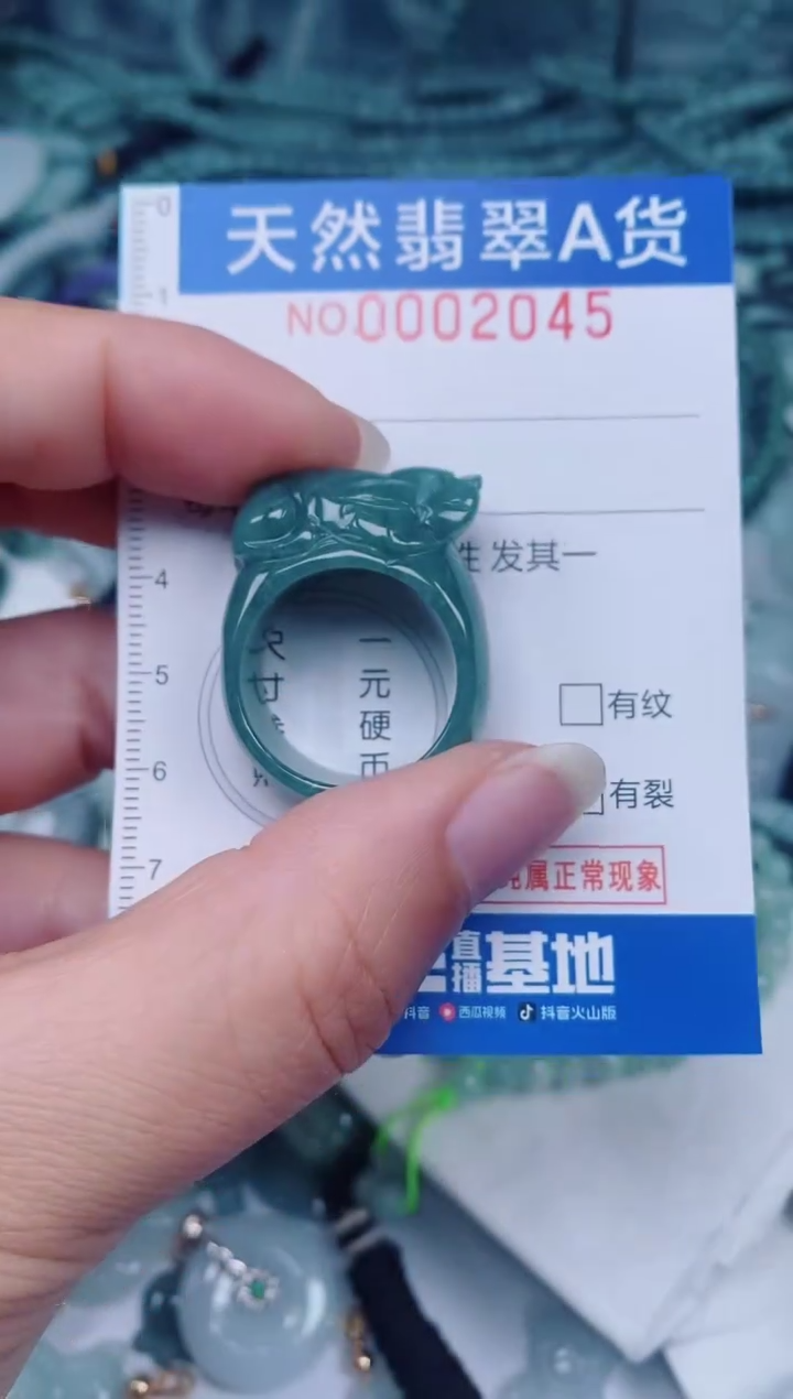 颈饰未镶嵌翡翠00002045