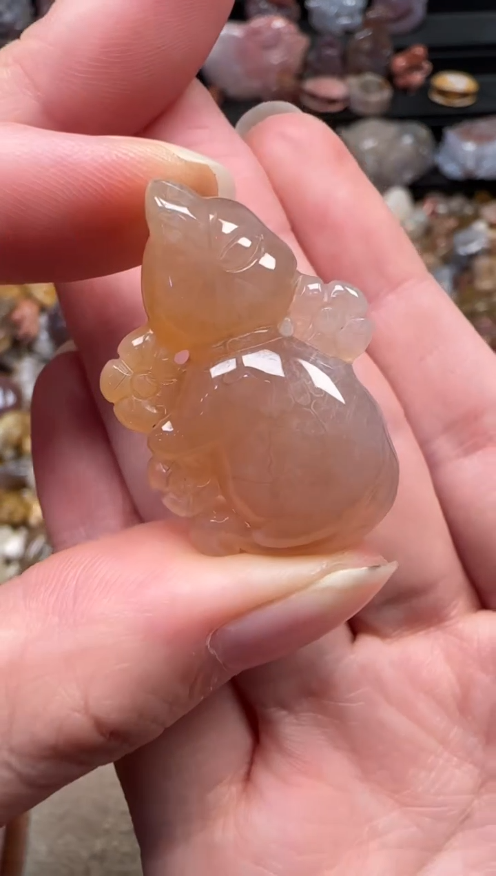 颈饰未镶嵌硅化珊瑚（珊瑚玉）188