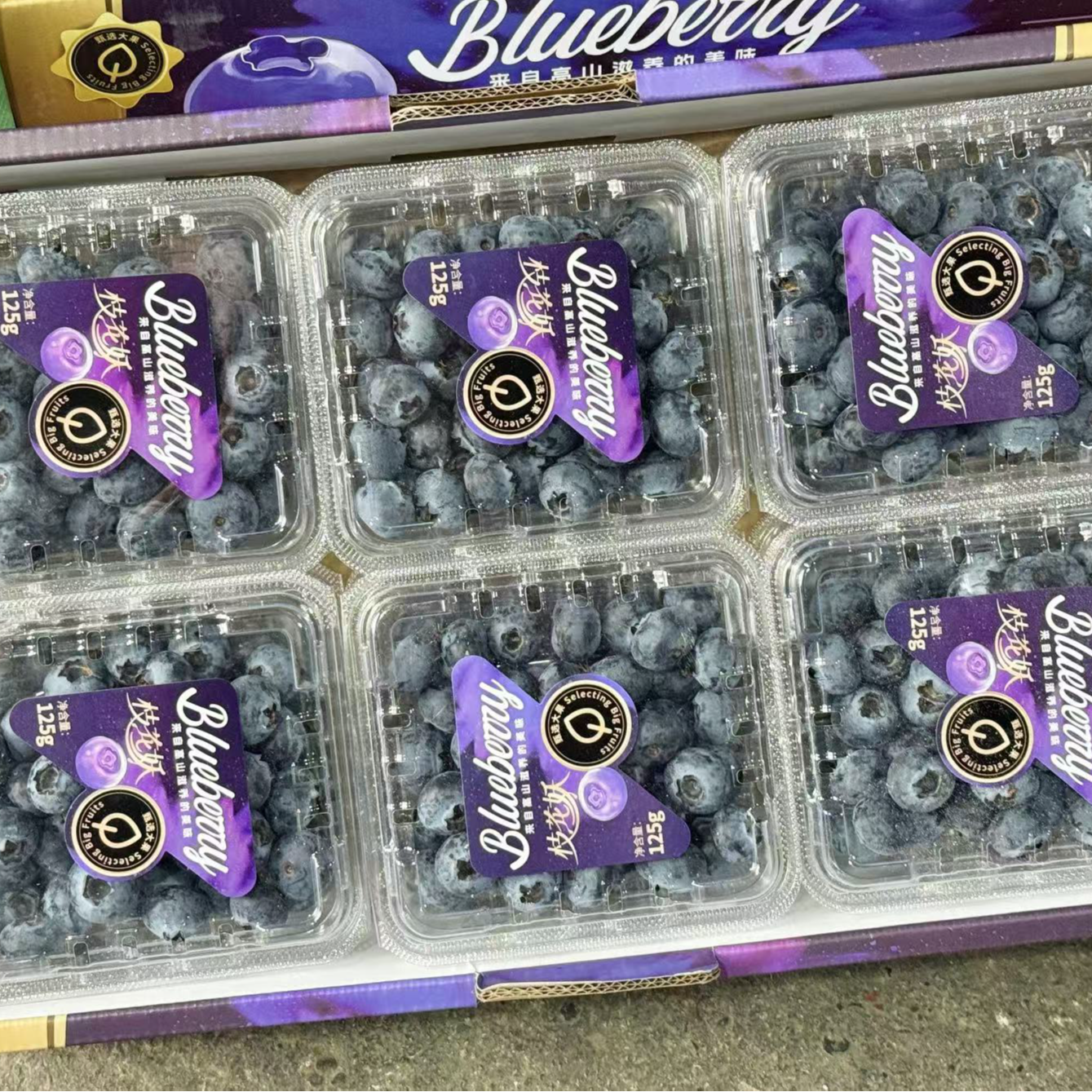 云南枝花妖花香蓝莓18+当季限定大果新鲜现摘口感又脆又甜 礼盒装