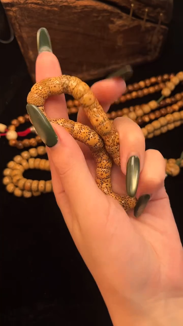 手串星月菩提精工级陈籽桶形大肠手持（B）