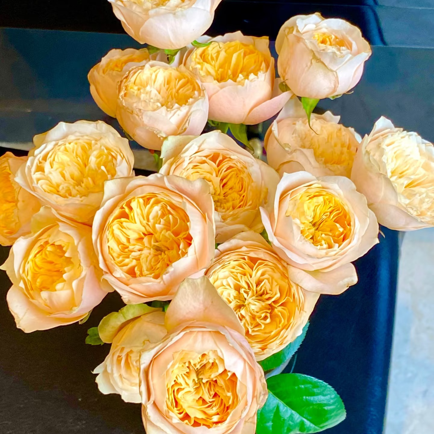 【黄蝴蝶玫瑰】稀有家居瓶插花厦门同城鲜花快递福建顺丰包邮次日达