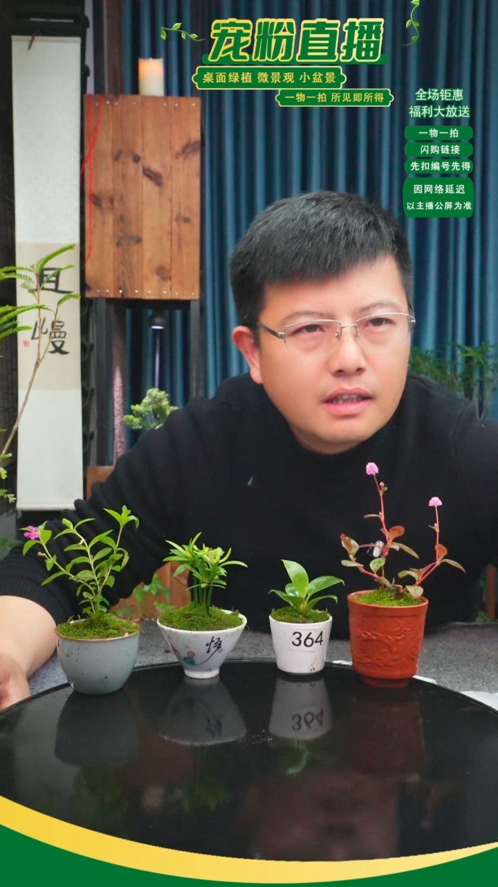 无花朵南****i苔藓微景观364号