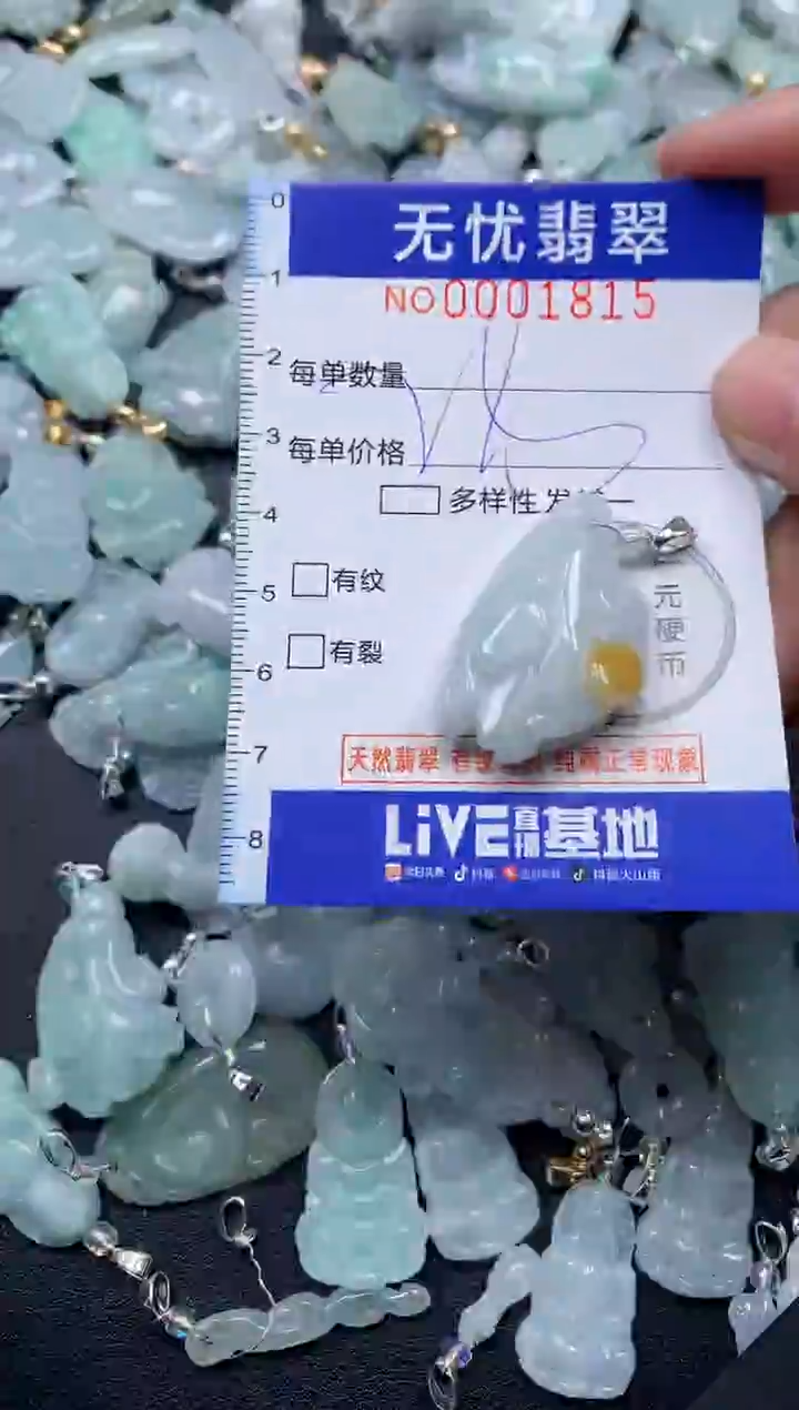 颈饰未镶嵌翡翠1815