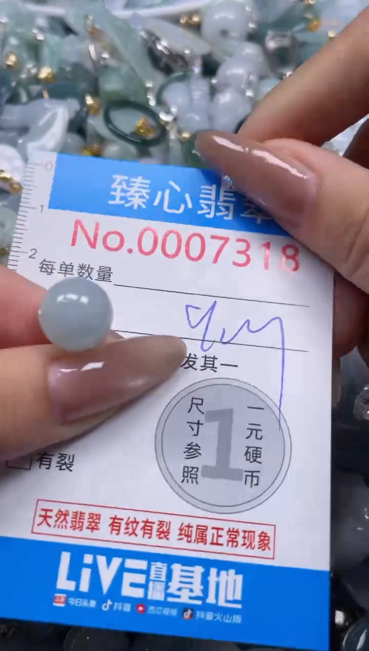 颈饰未镶嵌翡翠7318