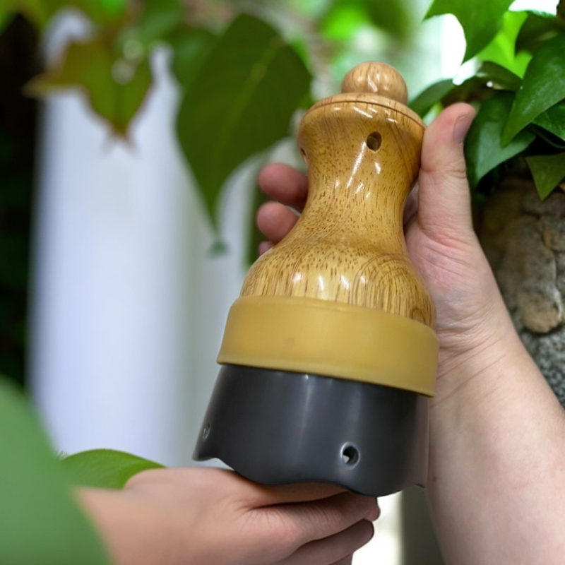 点过艾条的特价橡木莲花灸