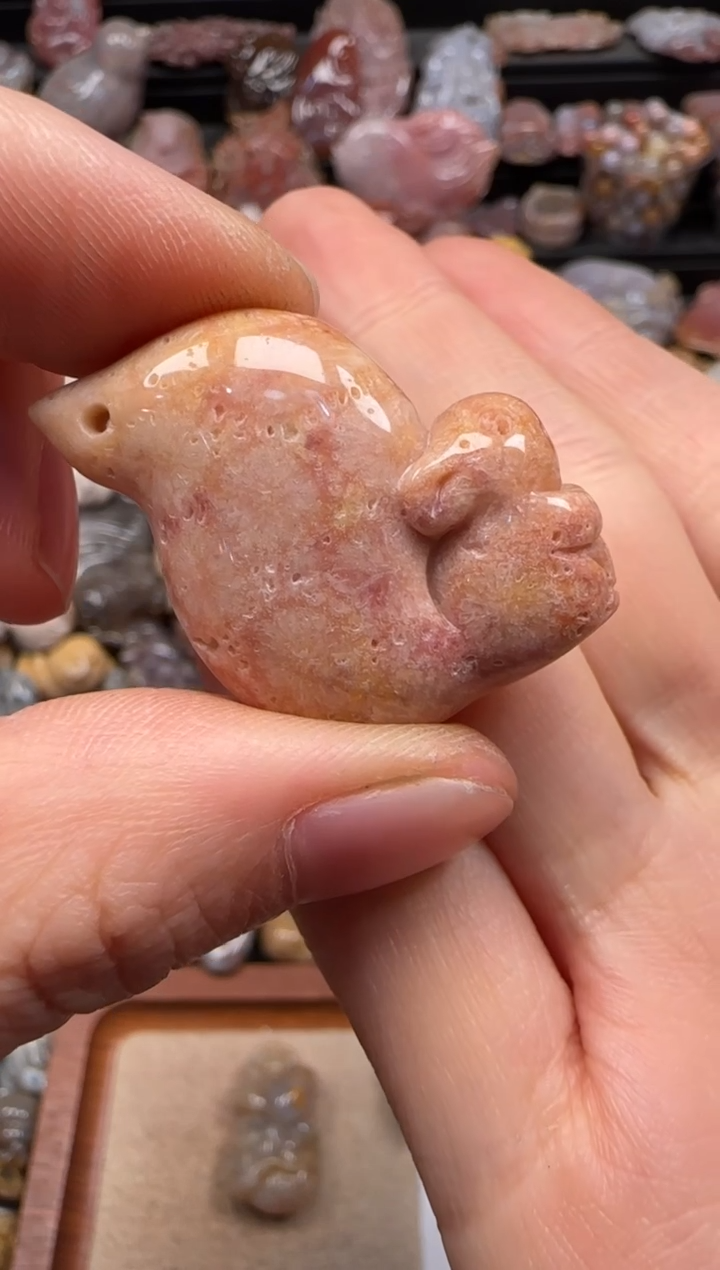 【闪购商品】硅化珊瑚（珊瑚玉）颈饰未镶嵌944