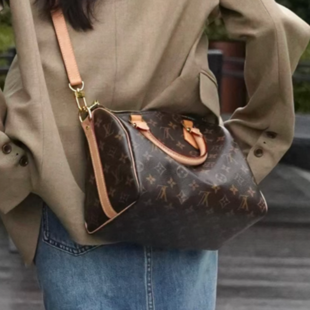修复品LouisVuitton/路易威登  埃文文/sp25/肩带款/枕头包.